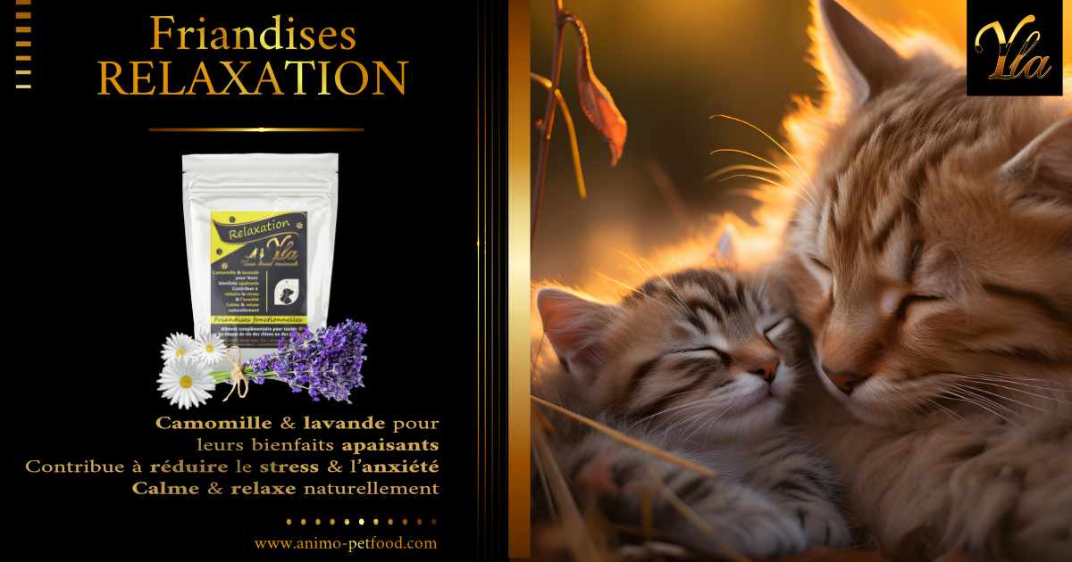 friandises-relaxation-pour-chats